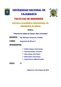 ABRA EL GAVILAN.docx
