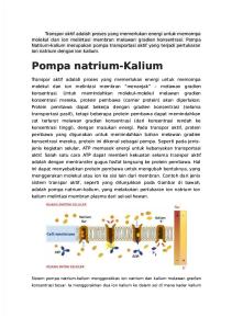 Pompa Natrium Kalium